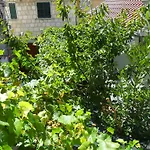 Dube Apartment