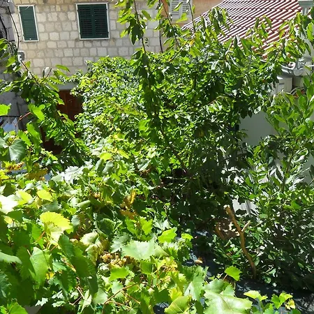 Dube Apartman
